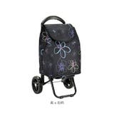 VALENTINO VISCANI ヴァレンチノ | BACKYARD FAMILY | 詳細画像12 