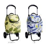 VALENTINO VISCANI ヴァレンチノ | BACKYARD FAMILY | 詳細画像18 