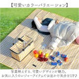 折りたたみ クーラーボックス 大容量 持ち運び | BACKYARD FAMILY | 詳細画像10 