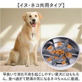 ペット用 早食い防止 食器 | BACKYARD FAMILY | 詳細画像8