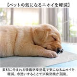 ペットのための消臭防水ひんやりマット | BACKYARD FAMILY | 詳細画像6