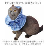 エリザベスカラー 猫 ソフト | BACKYARD FAMILY | 詳細画像6