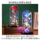 ガラスドーム 飾り おしゃれ LED付き | BACKYARD FAMILY | 詳細画像4 