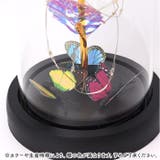 ガラスドーム 飾り おしゃれ LED付き | BACKYARD FAMILY | 詳細画像8 