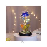 ガラスドーム 飾り おしゃれ LED付き | BACKYARD FAMILY | 詳細画像12 