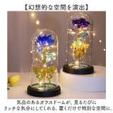 ガラスドーム 飾り おしゃれ LED付き | BACKYARD FAMILY | 詳細画像4 