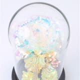 ガラスドーム 飾り おしゃれ LED付き | BACKYARD FAMILY | 詳細画像7 