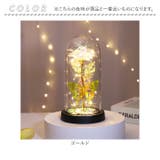 ガラスドーム 飾り おしゃれ LED付き | BACKYARD FAMILY | 詳細画像10 