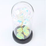 ガラスドーム 飾り おしゃれ LED付き | BACKYARD FAMILY | 詳細画像7 