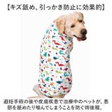 大型犬 ペット 術後服 傷舐め防止 | BACKYARD FAMILY | 詳細画像3 