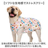 大型犬 ペット 術後服 傷舐め防止 | BACKYARD FAMILY | 詳細画像4 