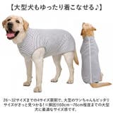 大型犬 ペット 術後服 傷舐め防止 | BACKYARD FAMILY | 詳細画像10 