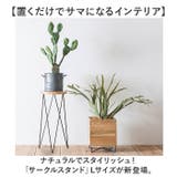 サークルスタンド Lサイズ | BACKYARD FAMILY | 詳細画像2