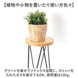サークルスタンド Lサイズ | BACKYARD FAMILY | 詳細画像5