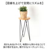 サークルスタンド Lサイズ | BACKYARD FAMILY | 詳細画像6