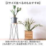 サークルスタンド Lサイズ | BACKYARD FAMILY | 詳細画像7