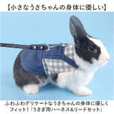ペット 小動物 ウサギ ハーネス リード | BACKYARD FAMILY | 詳細画像2 