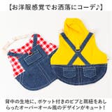 ペット 小動物 ウサギ ハーネス リード | BACKYARD FAMILY | 詳細画像12 