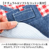 ペット 小動物 ウサギ ハーネス リード | BACKYARD FAMILY | 詳細画像4 