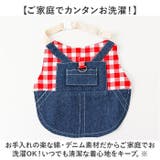 ペット 小動物 ウサギ ハーネス リード | BACKYARD FAMILY | 詳細画像10 