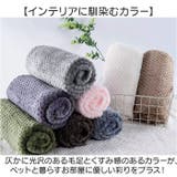 ペットブランケット | BACKYARD FAMILY | 詳細画像9 