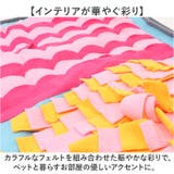 ペットおもちゃ ノーズワーク | BACKYARD FAMILY | 詳細画像13