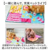ペットおもちゃ ノーズワーク | BACKYARD FAMILY | 詳細画像14