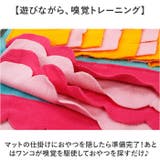 ペットおもちゃ ノーズワーク | BACKYARD FAMILY | 詳細画像5