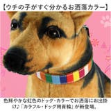 犬 首輪 | BACKYARD FAMILY | 詳細画像2