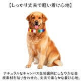 犬 首輪 | BACKYARD FAMILY | 詳細画像3