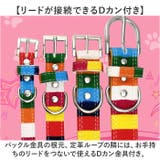 犬 首輪 | BACKYARD FAMILY | 詳細画像6