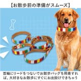 犬 首輪 | BACKYARD FAMILY | 詳細画像7