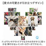 犬 首輪 | BACKYARD FAMILY | 詳細画像9
