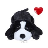 犬 おもちゃ ペット用品 | BACKYARD FAMILY | 詳細画像14