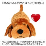 犬 おもちゃ ペット用品 | BACKYARD FAMILY | 詳細画像8