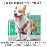 犬 ハーネス リード付き | BACKYARD FAMILY | 詳細画像2 