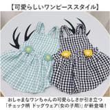 犬服 ペットウェア ワンピース | BACKYARD FAMILY | 詳細画像2 