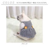 犬服 ペットウェア ワンピース | BACKYARD FAMILY | 詳細画像15 