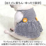 犬服 ペットウェア ワンピース | BACKYARD FAMILY | 詳細画像7 