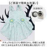 犬服 ペットウェア ワンピース | BACKYARD FAMILY | 詳細画像8 