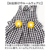 犬服 ペットウェア ワンピース | BACKYARD FAMILY | 詳細画像10 