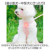 ペット 犬 ハーネス リード付き かわいい | BACKYARD FAMILY | 詳細画像11 