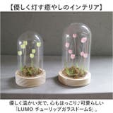 LUMO チューリップガラスドームS | BACKYARD FAMILY | 詳細画像2 