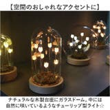 LUMO チューリップガラスドームS | BACKYARD FAMILY | 詳細画像3 