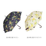 60BJ 耐風 グラスファイバー ジャンプ傘 60cm | BACKYARD FAMILY | 詳細画像15
