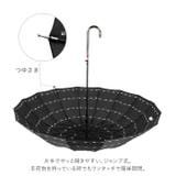 amusant sous la | BACKYARD FAMILY | 詳細画像3