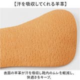 Pedag ペダック コレクトプラス | BACKYARD FAMILY | 詳細画像6