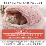 ペット ハウス ドーム型 | BACKYARD FAMILY | 詳細画像2