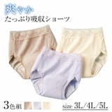 爽やかたっぷり吸収ショーツ3色組 | BACKYARD FAMILY | 詳細画像2