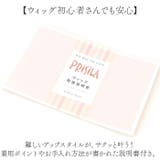 プリシラ めちゃ楽メガ団子ウィッグ ミディ DG-01M | BACKYARD FAMILY | 詳細画像9 